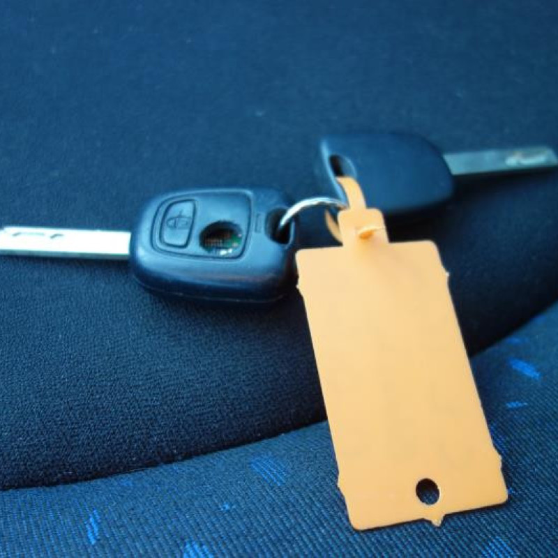 Ceinture arriere gauche CITROEN C2 Photo n°11