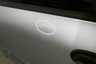 Porte arriere gauche FIAT MULTIPLA