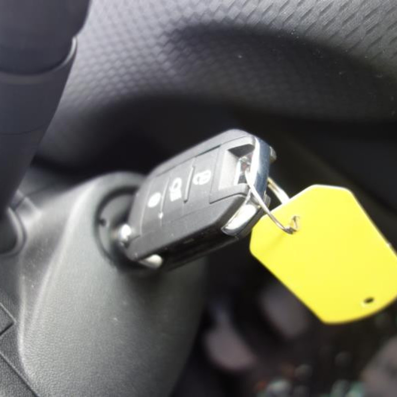 Ceinture arriere gauche PEUGEOT 2008 1 Photo n°13