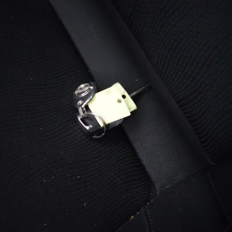 Porte arriere droit OPEL INSIGNIA 1 Photo n°11
