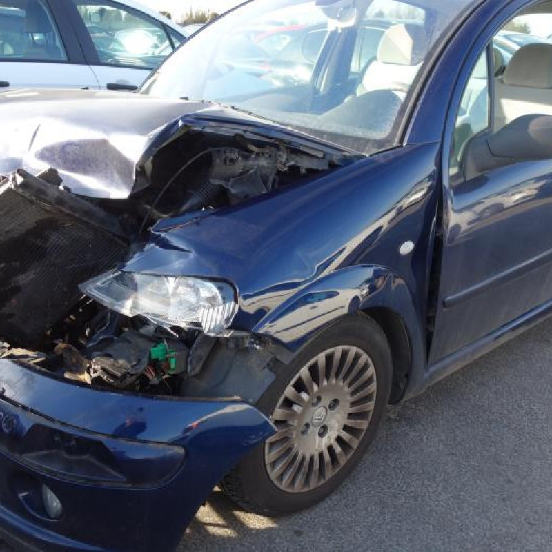 Porte avant droit CITROEN C3 1 Photo n°3