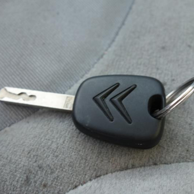 Porte avant droit CITROEN C3 1 Photo n°11