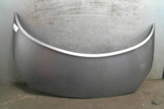 Capot RENAULT SCENIC 2 Photo n°1