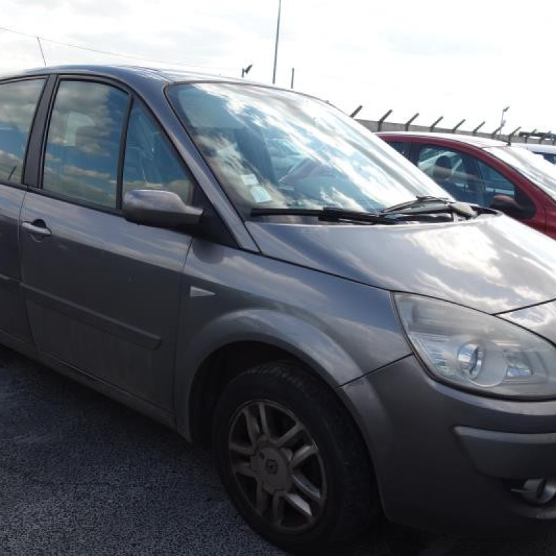 Capot RENAULT SCENIC 2 Photo n°4