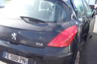 Porte arriere gauche PEUGEOT 308 1