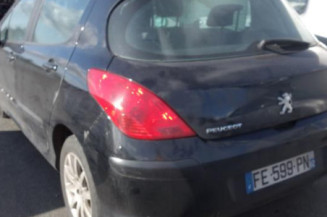 Porte arriere gauche PEUGEOT 308 1