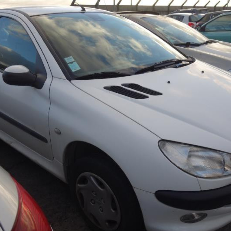 Etrier avant gauche (freinage) PEUGEOT 206 Photo n°2