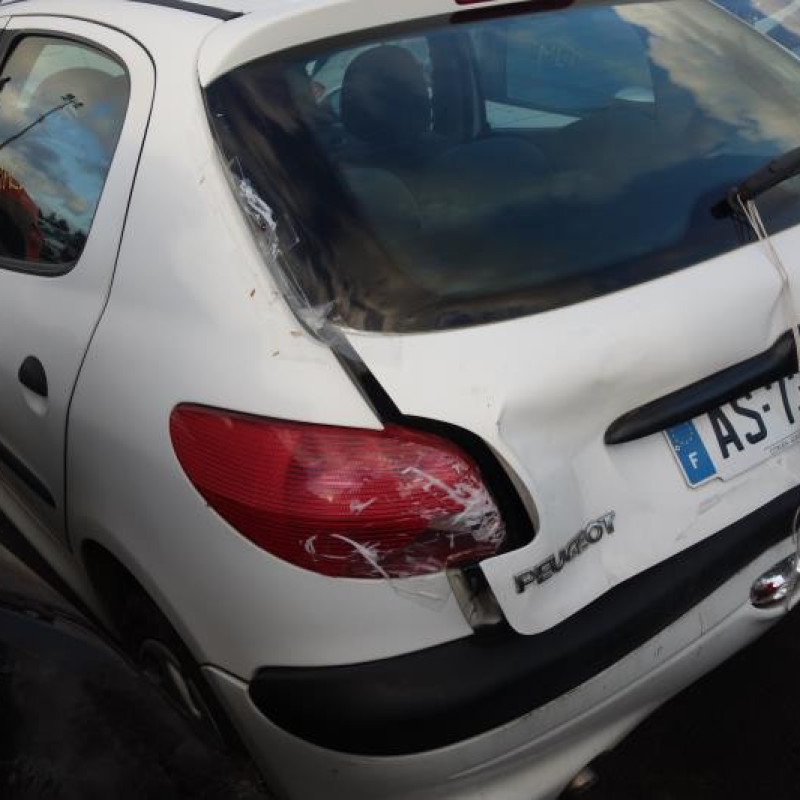 Etrier avant gauche (freinage) PEUGEOT 206 Photo n°5