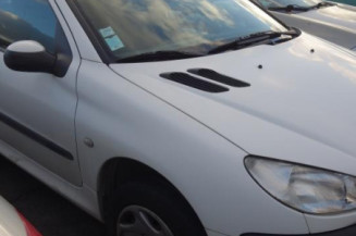 Moto ventilateur radiateur PEUGEOT 206