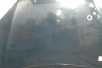 Capot CITROEN C5 1 Photo n°1