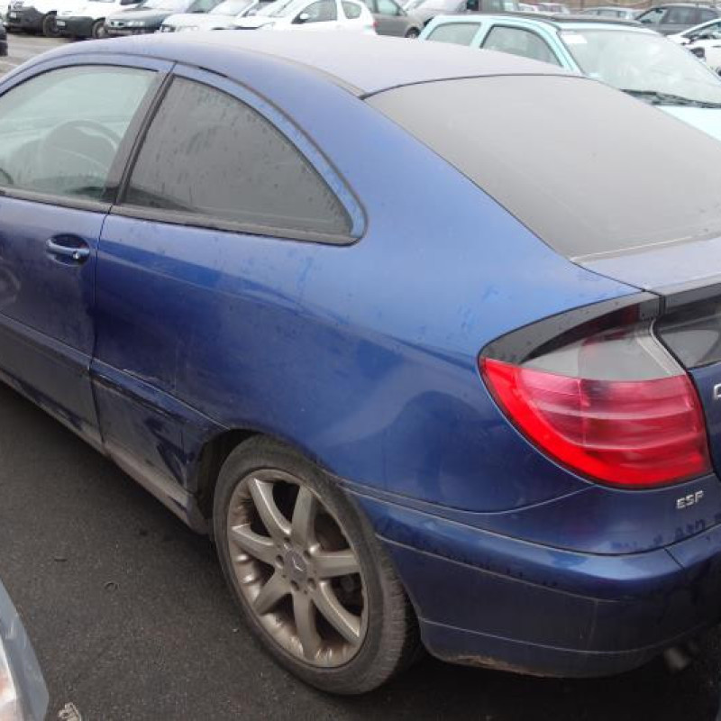 Porte avant gauche MERCEDES CLASSE C 203 COUPE SPORT Photo n°6