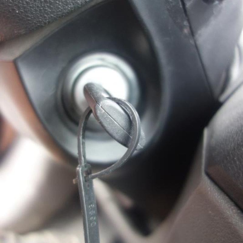 Porte arriere gauche FORD FOCUS 2 Photo n°10