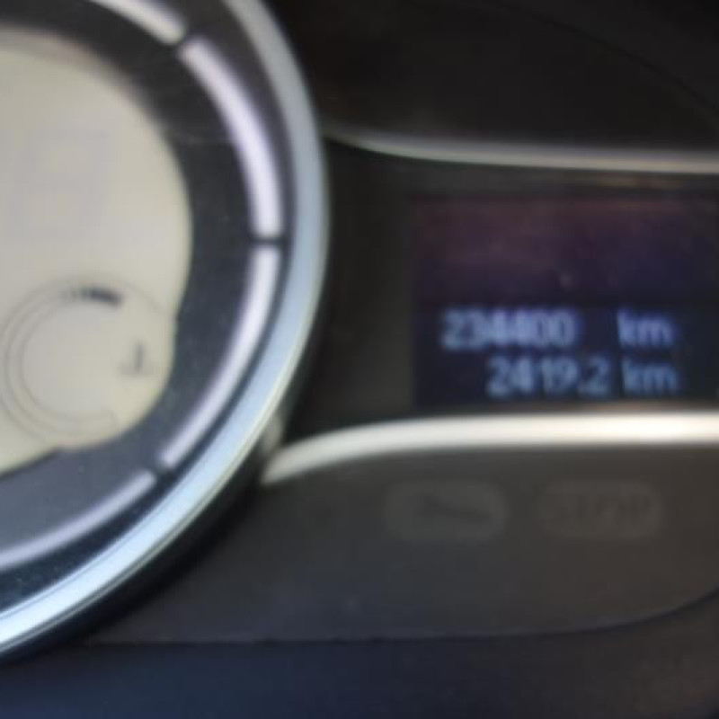 Porte arriere gauche RENAULT MEGANE 3 Photo n°10