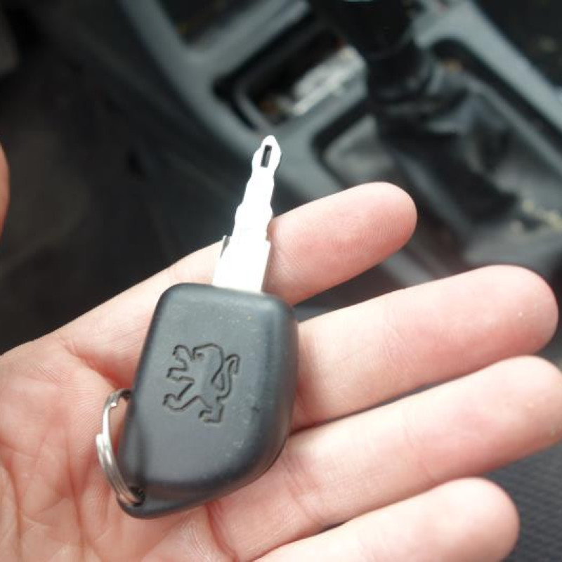 Porte avant droit PEUGEOT 306 Photo n°9