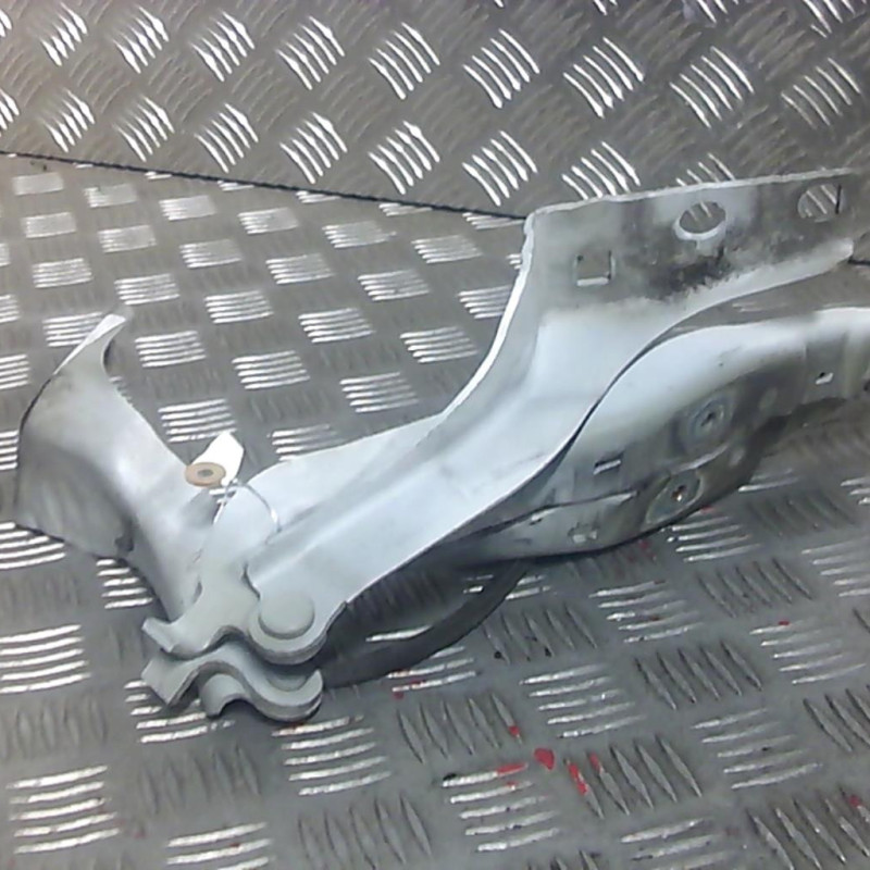 Charniere de capot PEUGEOT 308 1 Photo n°1