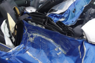 Malle/Hayon arriere CITROEN C3 PLURIEL