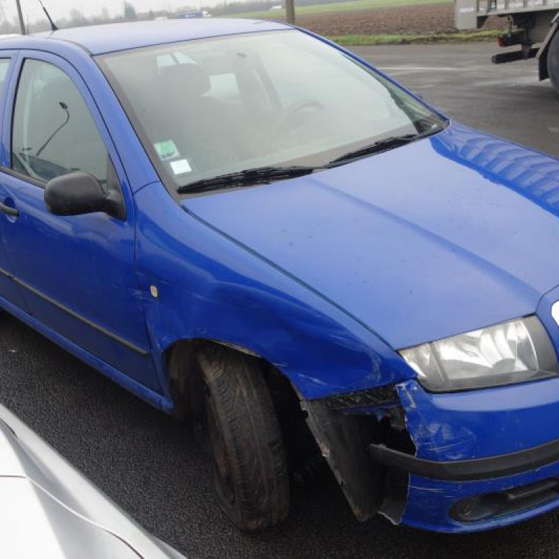 Malle/Hayon arriere SKODA FABIA 1 Photo n°4