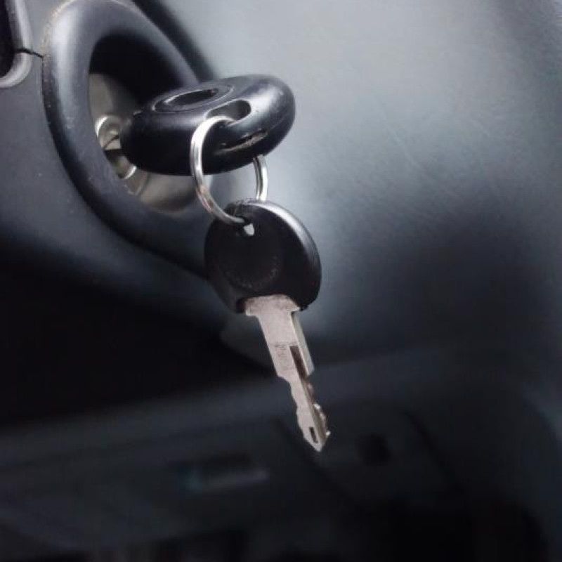 Compresseur clim RENAULT LAGUNA 1 Photo n°11