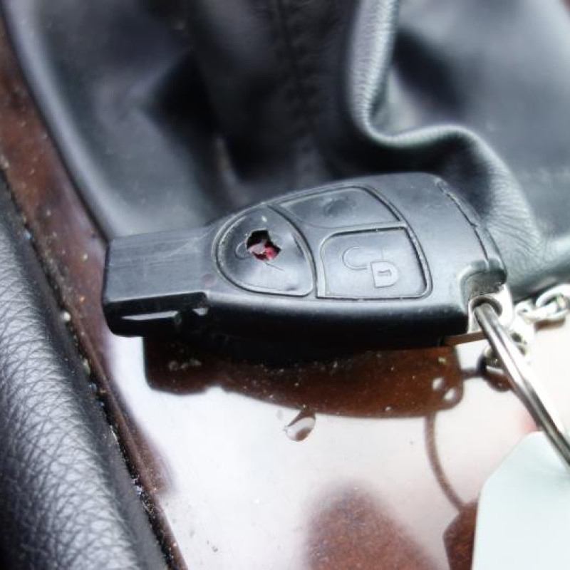 Porte arriere gauche MERCEDES CLASSE C 203 Photo n°13