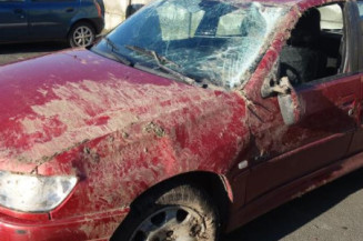 Malle/Hayon arriere PEUGEOT 306