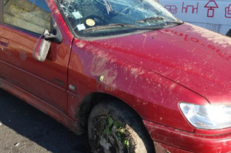 Malle/Hayon arriere PEUGEOT 306