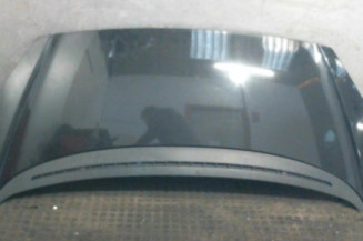 Capot PEUGEOT 1007 Photo n°1