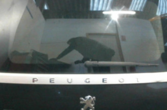 Malle/Hayon arriere PEUGEOT 1007 Photo n°1