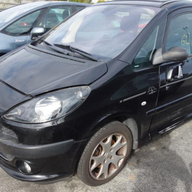 Malle/Hayon arriere PEUGEOT 1007 Photo n°3