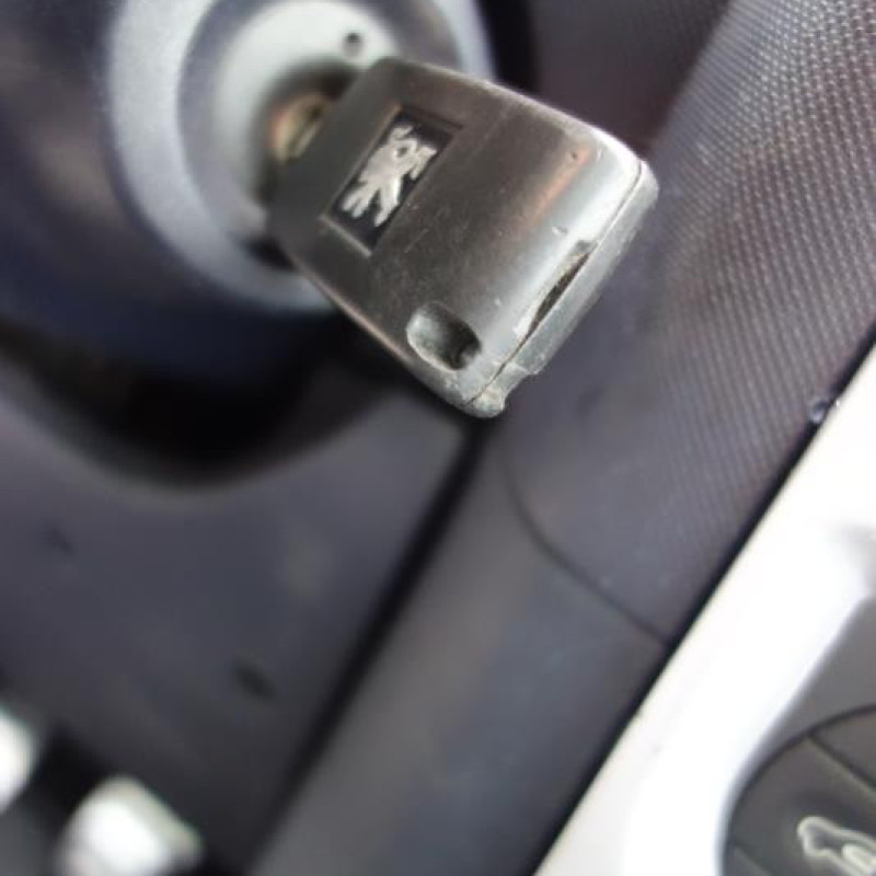 Malle/Hayon arriere PEUGEOT 1007 Photo n°9