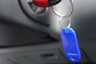 Pulseur d'air RENAULT LAGUNA 1