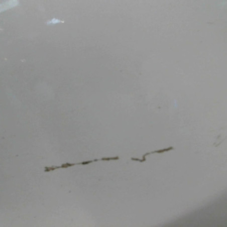 Porte arriere gauche RENAULT CLIO 3