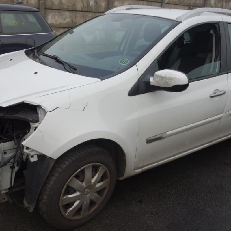 Porte arriere gauche RENAULT CLIO 3 Photo n°5