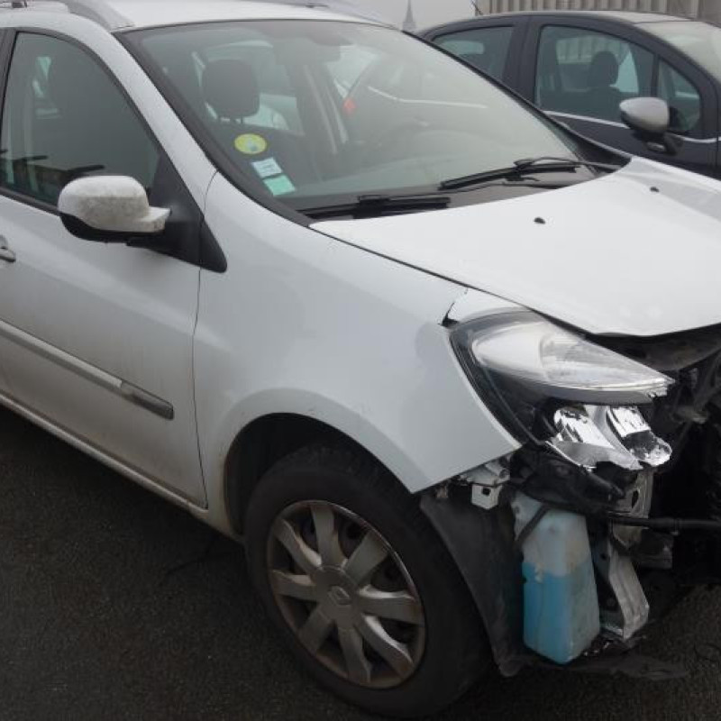 Porte arriere gauche RENAULT CLIO 3 Photo n°6