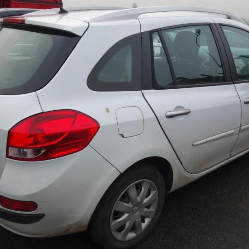 Porte arriere gauche RENAULT CLIO 3 Photo n°7