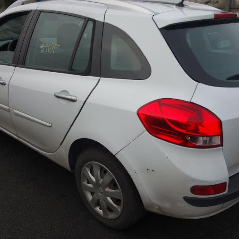 Porte arriere gauche RENAULT CLIO 3 Photo n°8