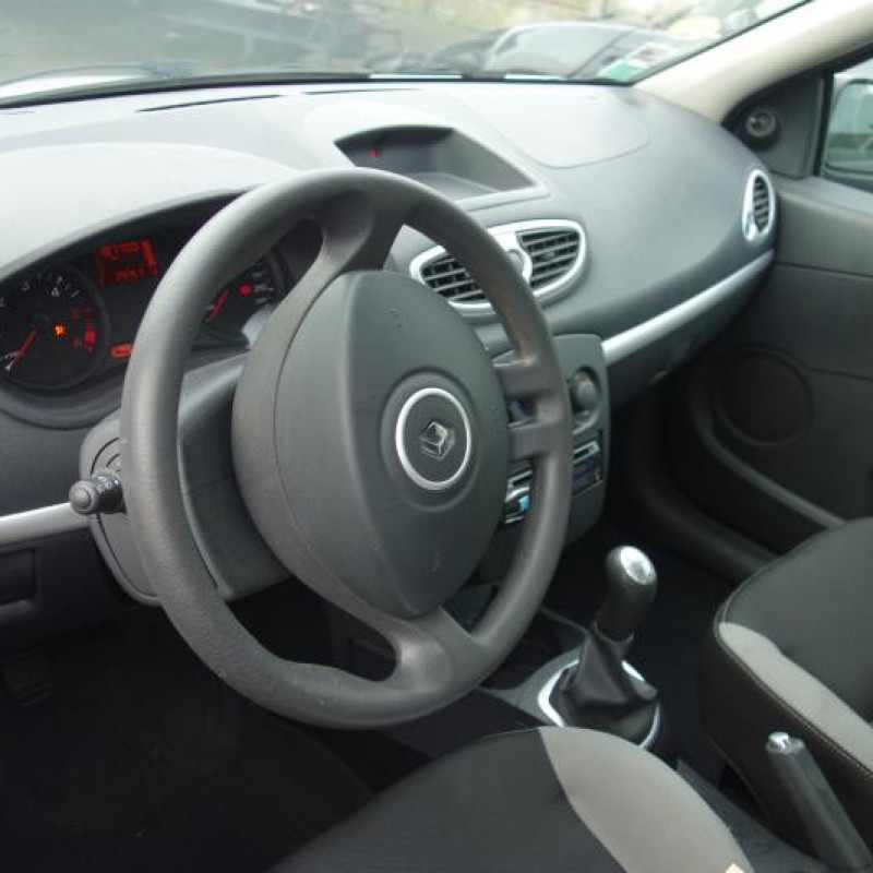 Porte arriere gauche RENAULT CLIO 3 Photo n°9