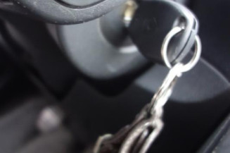 Porte arriere gauche RENAULT CLIO 3