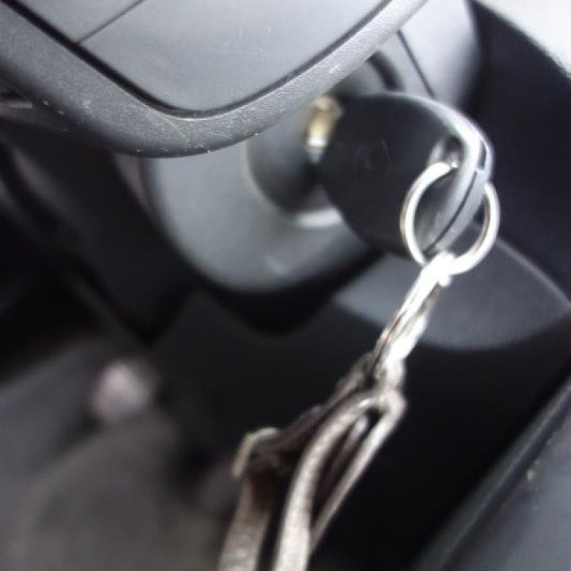Porte arriere gauche RENAULT CLIO 3 Photo n°12