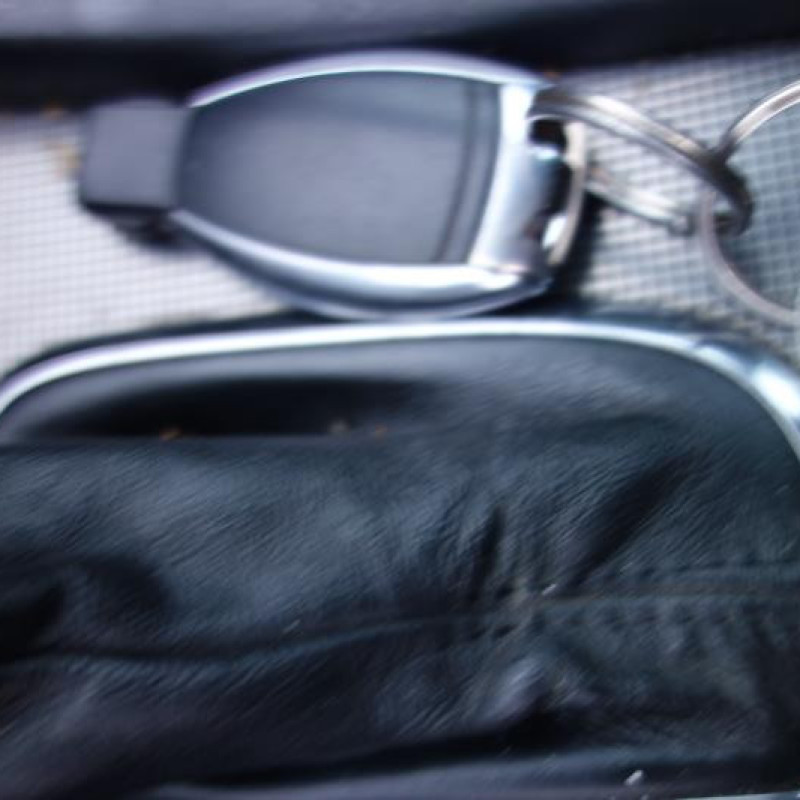 Porte arriere gauche MERCEDES CLASSE C 203 Photo n°10