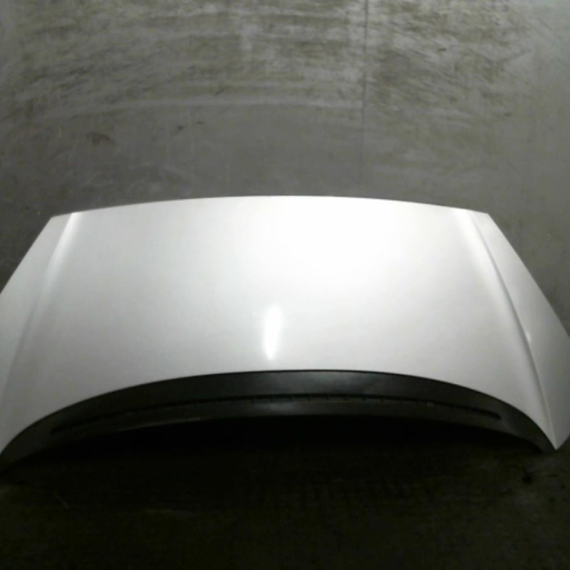 Capot PEUGEOT 1007 Photo n°1