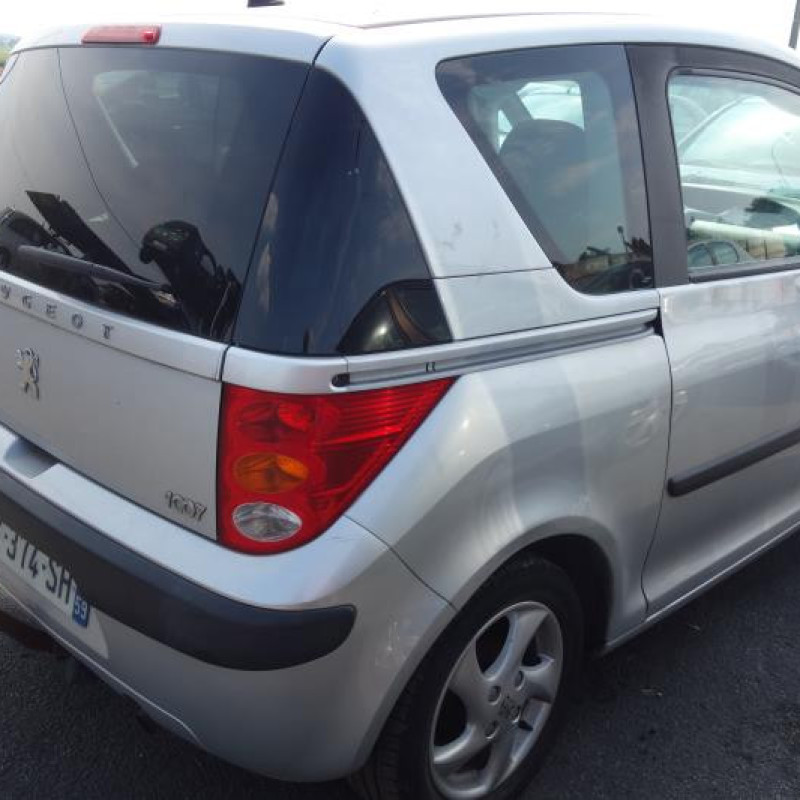 Capot PEUGEOT 1007 Photo n°5