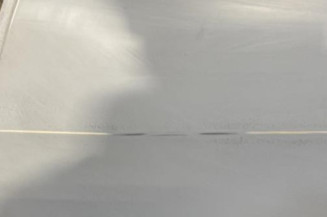 Porte arriere gauche RENAULT MEGANE 2