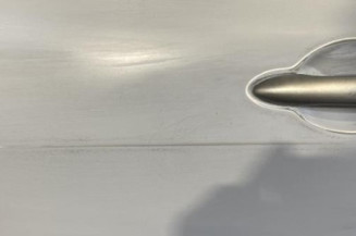 Porte arriere gauche RENAULT MEGANE 2