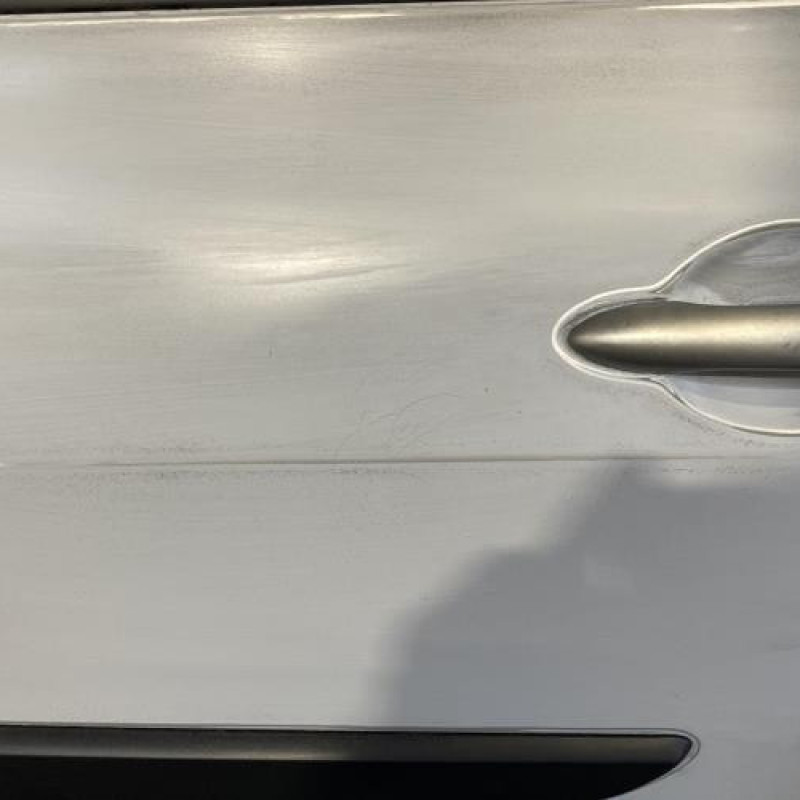 Porte arriere gauche RENAULT MEGANE 2 Photo n°3