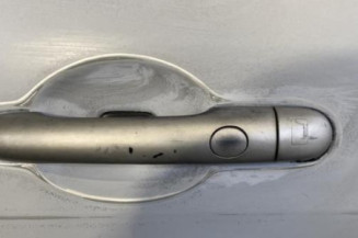 Porte arriere gauche RENAULT MEGANE 2