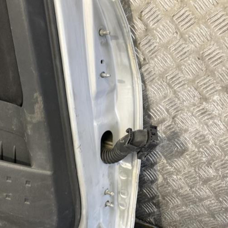 Porte arriere gauche RENAULT MEGANE 2 Photo n°6