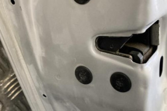 Porte arriere gauche RENAULT MEGANE 2