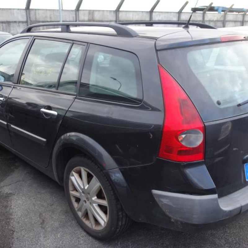 Porte arriere gauche RENAULT MEGANE 2 Photo n°6