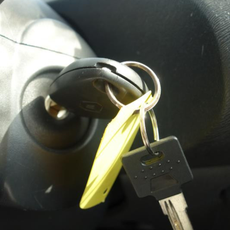 Bras essuie glace arriere RENAULT TWINGO 2 Photo n°9