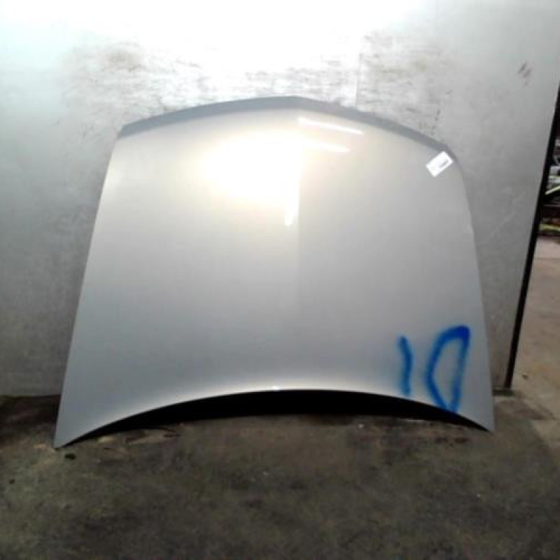 Capot RENAULT VEL SATIS Photo n°1